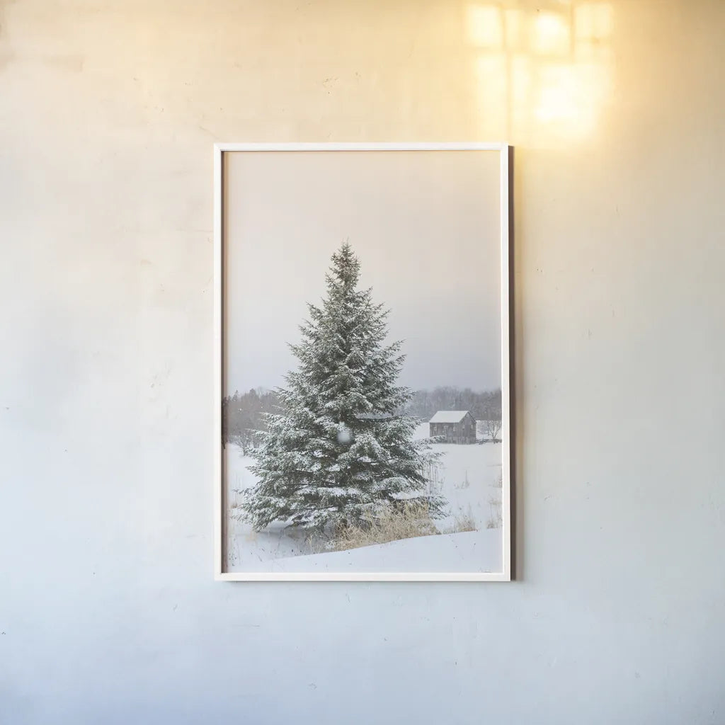 Perfect Pine Tree by Aledanda. shown as a paper print in a white frame. Available as a archival giclee rolled canvas, fine art paper, or poster print. SKU 60998h.