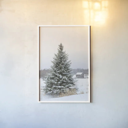 Perfect Pine Tree by Aledanda. shown as a paper print in a white frame. Available as a archival giclee rolled canvas, fine art paper, or poster print. SKU 60998h.