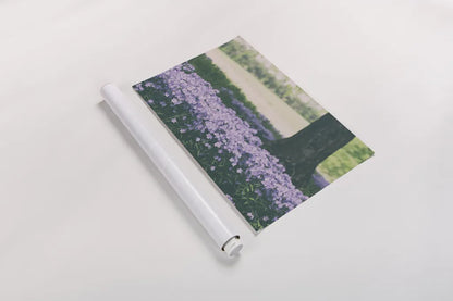 Phlox in the Shade by Aledanda. shown as a rolled paper print. Available as archival giclee rolled canvas, fine art paper, or poster print. SKU 63218i.