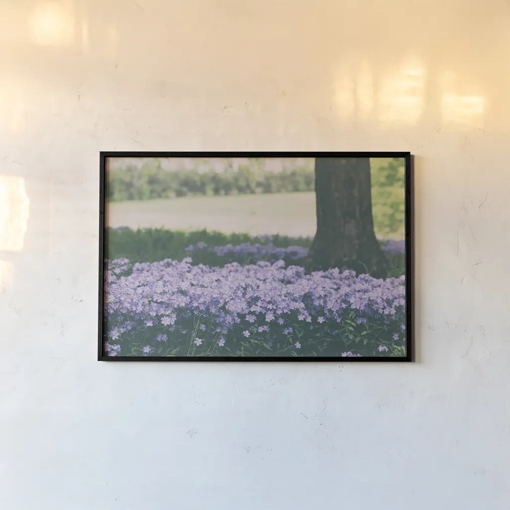 Phlox in the Shade by Aledanda. shown as a paper print in a black flame. Available as a archival giclee rolled canvas, fine art paper, or poster print. SKU 63218i.