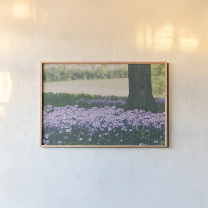 Phlox in the Shade by Aledanda. shown as a paper print in a natural frame. Available as a archival giclee rolled canvas, fine art paper, or poster print. SKU 63218i.