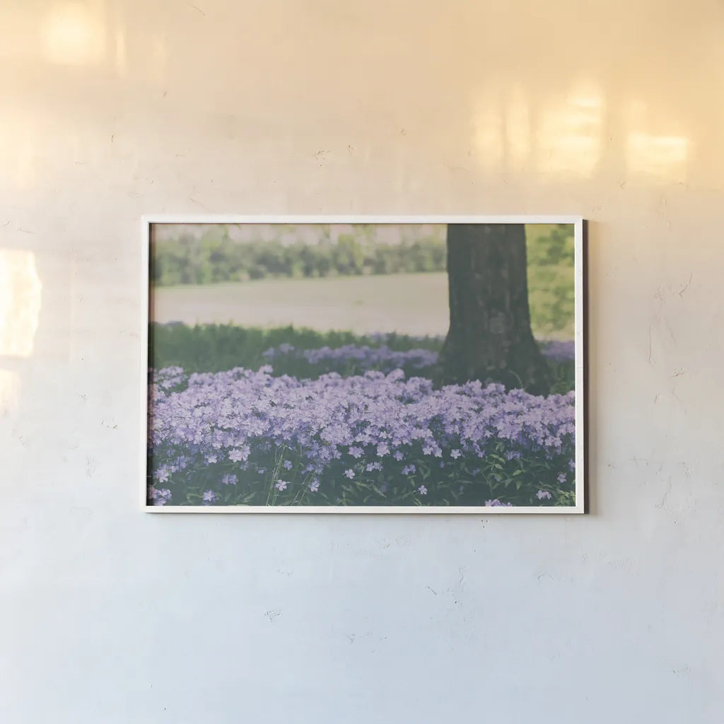 Phlox in the Shade by Aledanda. shown as a paper print in a white frame. Available as a archival giclee rolled canvas, fine art paper, or poster print. SKU 63218i.