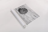 Pinecone by Aledanda. shown as a rolled paper print. Available as archival giclee rolled canvas, fine art paper, or poster print. SKU 55300i.