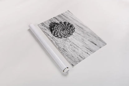 Pinecone by Aledanda. shown as a rolled paper print. Available as archival giclee rolled canvas, fine art paper, or poster print. SKU 55300i.