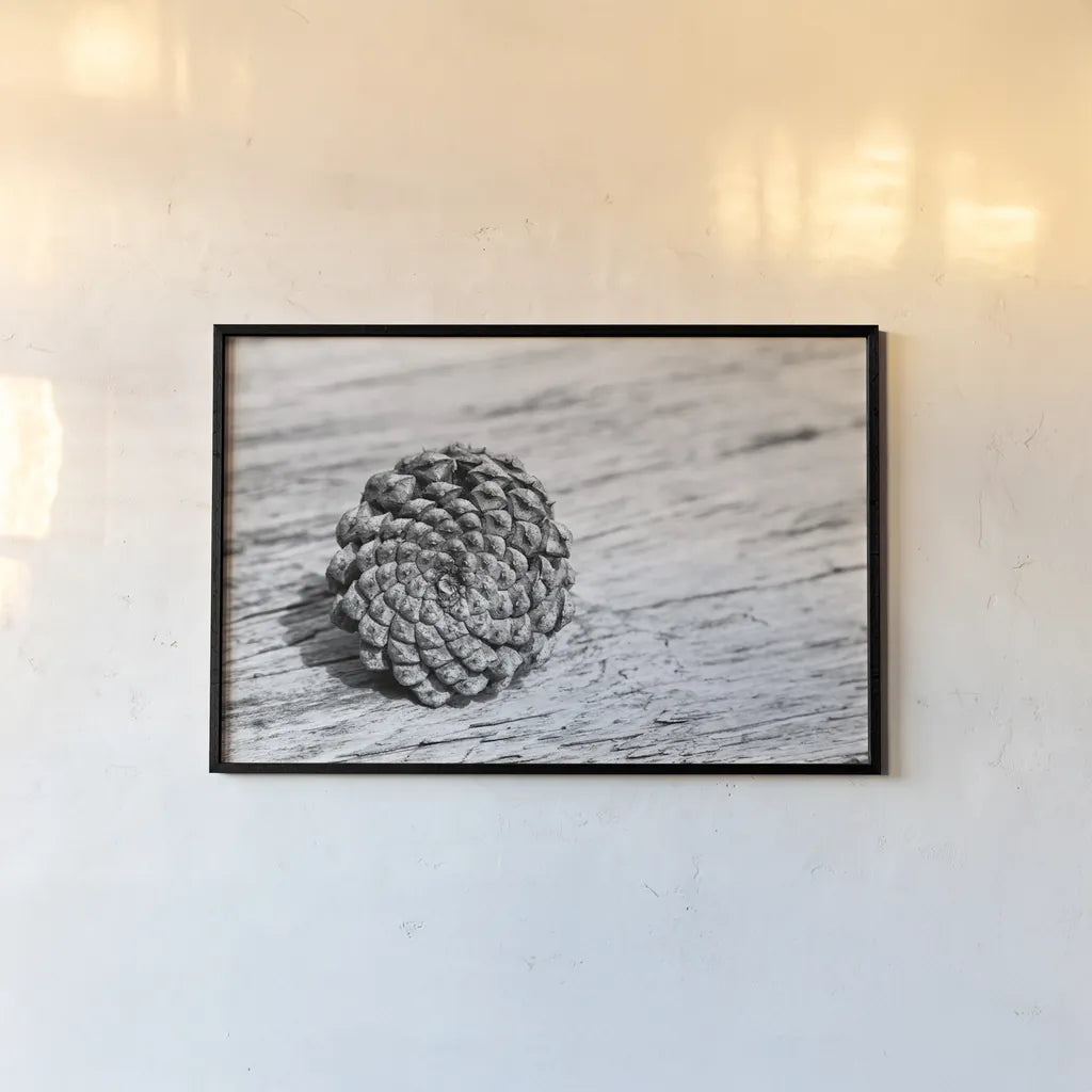 Pinecone by Aledanda. shown as a paper print in a black flame. Available as a archival giclee rolled canvas, fine art paper, or poster print. SKU 55300i.