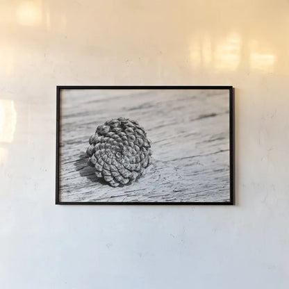Pinecone by Aledanda. shown as a paper print in a black flame. Available as a archival giclee rolled canvas, fine art paper, or poster print. SKU 55300i.