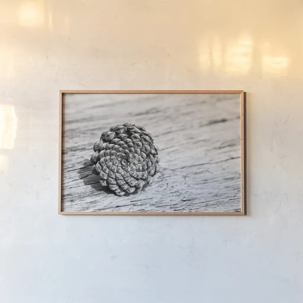 Pinecone by Aledanda. shown as a paper print in a natural frame. Available as a archival giclee rolled canvas, fine art paper, or poster print. SKU 55300i.