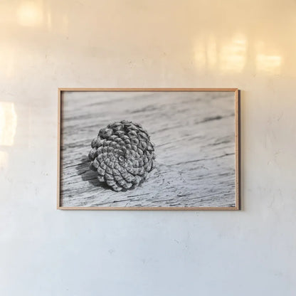 Pinecone by Aledanda. shown as a paper print in a natural frame. Available as a archival giclee rolled canvas, fine art paper, or poster print. SKU 55300i.