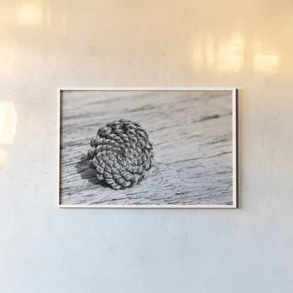 Pinecone by Aledanda. shown as a paper print in a white frame. Available as a archival giclee rolled canvas, fine art paper, or poster print. SKU 55300i.