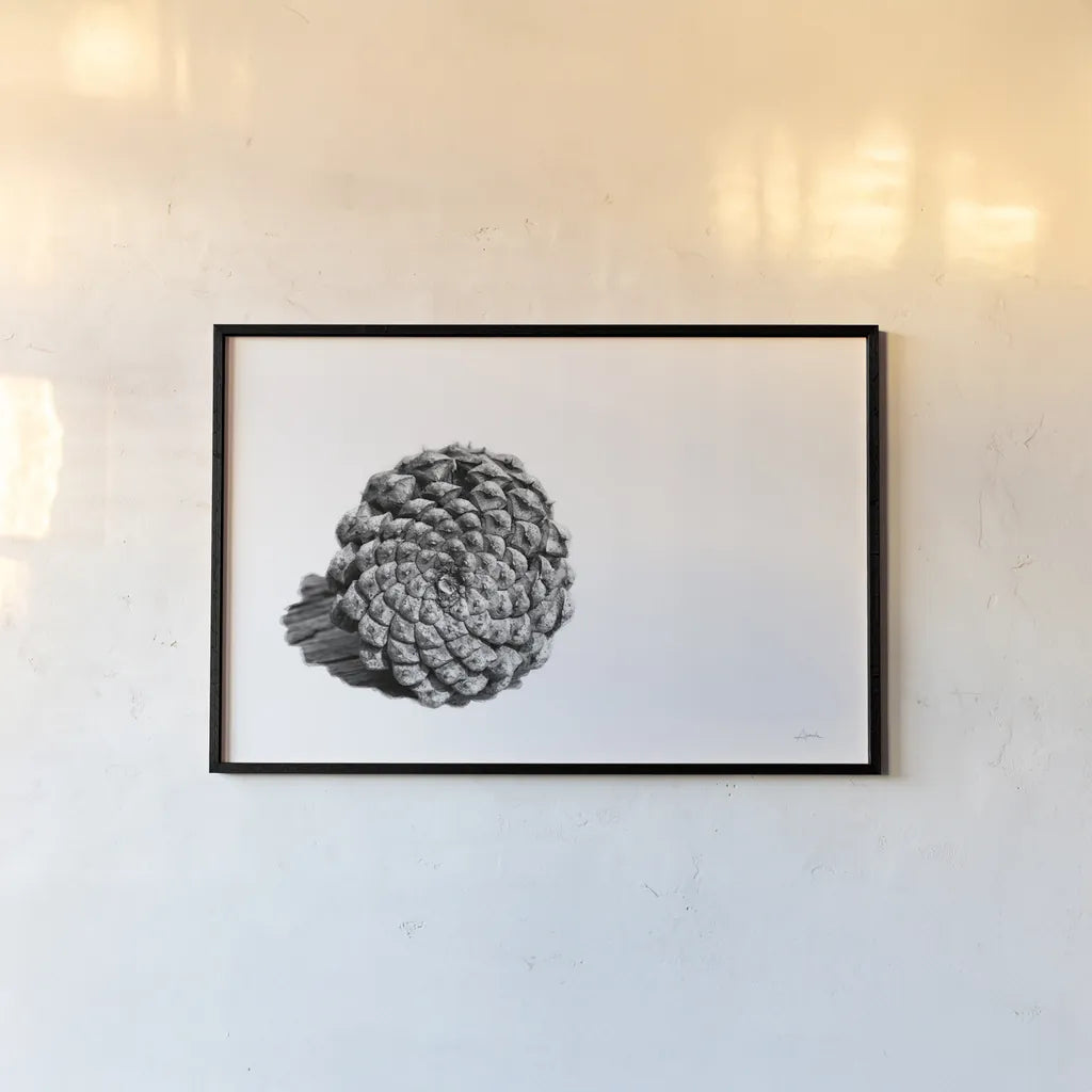 Pinecone on White by Aledanda. shown as a paper print in a black flame. Available as a archival giclee rolled canvas, fine art paper, or poster print. SKU 57579i.