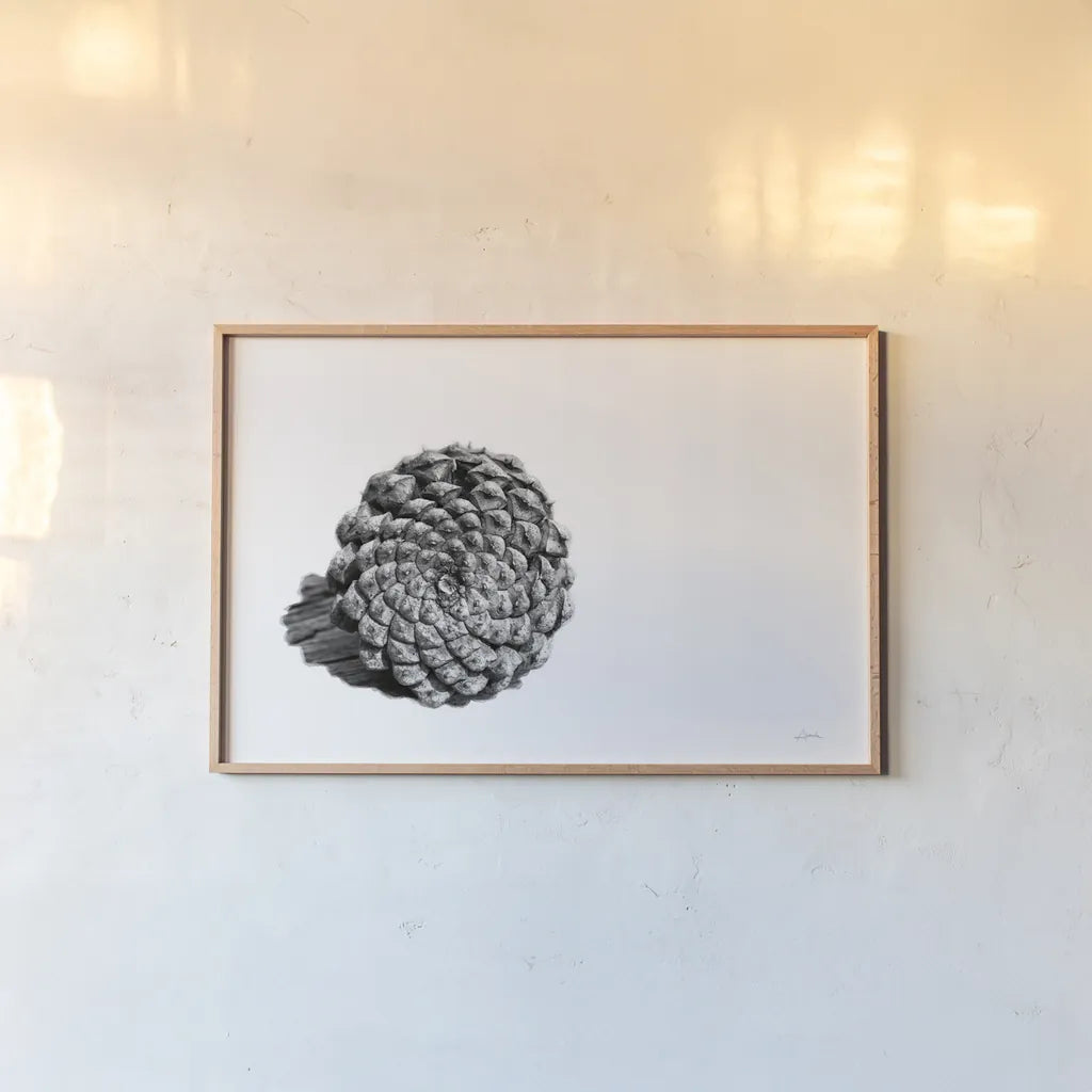 Pinecone on White by Aledanda. shown as a paper print in a natural frame. Available as a archival giclee rolled canvas, fine art paper, or poster print. SKU 57579i.