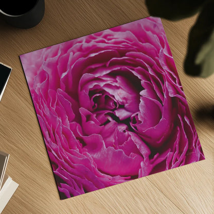 Pink Peony by Aledanda. Shown as a detailed flat fine art print, highlighting archival giclee quality. Available as an archival giclee rolled canvas, fine art paper, or poster print. SKU 37451a.