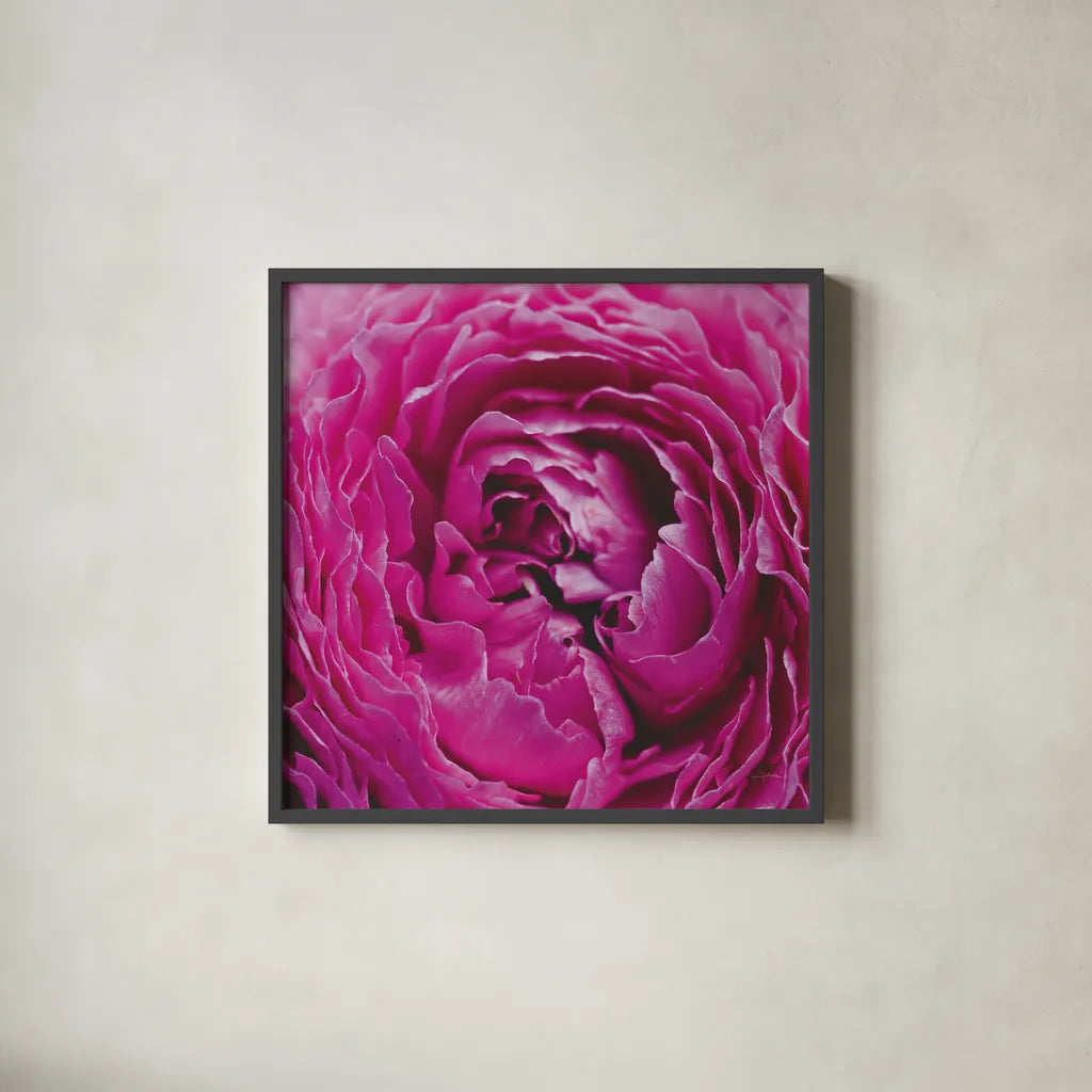 Pink Peony by Aledanda. Shown in a sleek black glass frame for a contemporary gallery look. Available as an archival giclee rolled canvas, fine art paper, or poster print. SKU 37451a.