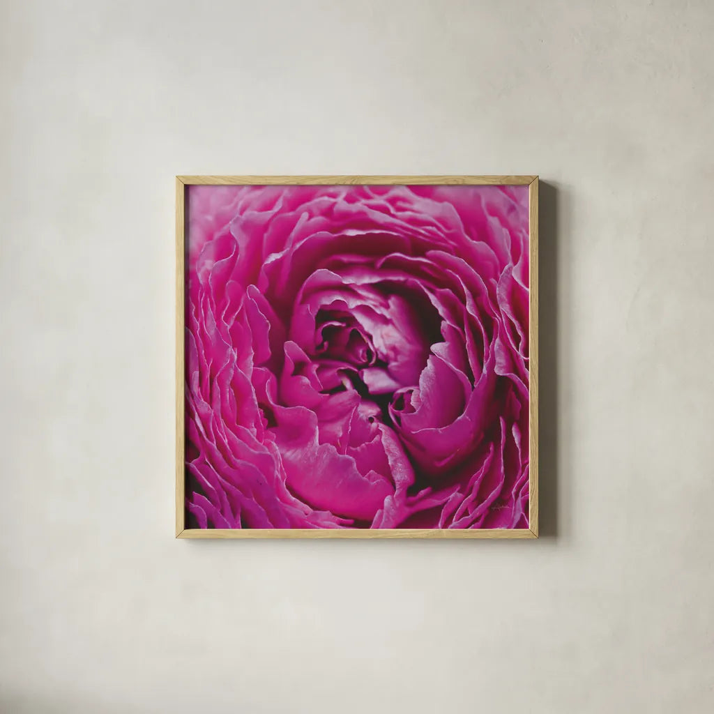 Pink Peony by Aledanda. Shown in a natural wood glass frame for a timeless modern aesthetic. Available as an archival giclee rolled canvas, fine art paper, or poster print. SKU 37451a.