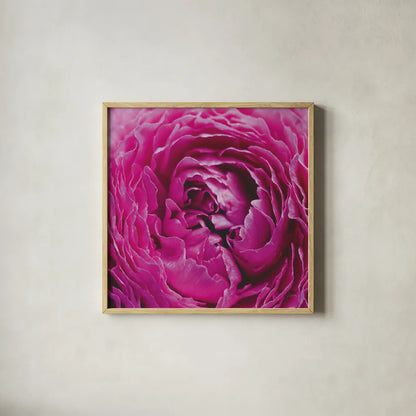 Pink Peony by Aledanda. Shown in a natural wood glass frame for a timeless modern aesthetic. Available as an archival giclee rolled canvas, fine art paper, or poster print. SKU 37451a.