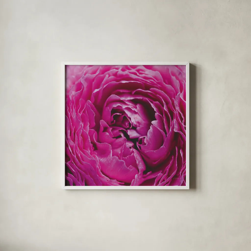 Pink Peony by Aledanda. Shown in a crisp white glass frame for a clean and minimalist style. Available as an archival giclee rolled canvas, fine art paper, or poster print. SKU 37451a.