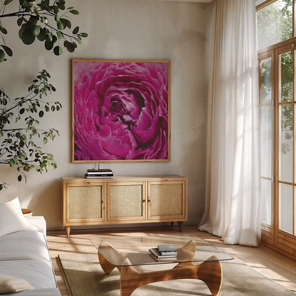 Pink Peony by Aledanda. Shown in a natural wood frame in a cozy modern living room. Available as an archival giclee rolled canvas, fine art paper, or poster print. SKU 37451a.