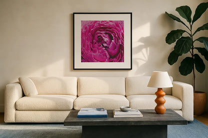 Pink Peony by Aledanda. Displayed in a glass frame with matte in a clean modern living room. Available as an archival giclee rolled canvas, fine art paper, or poster print. SKU 37451a.