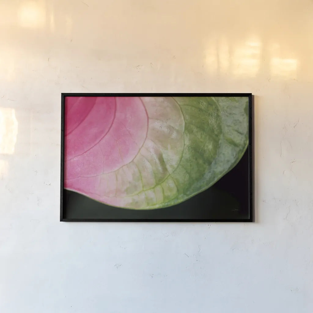 Pink and Green by Aledanda. shown as a paper print in a black flame. Available as a archival giclee rolled canvas, fine art paper, or poster print. SKU 55301i.