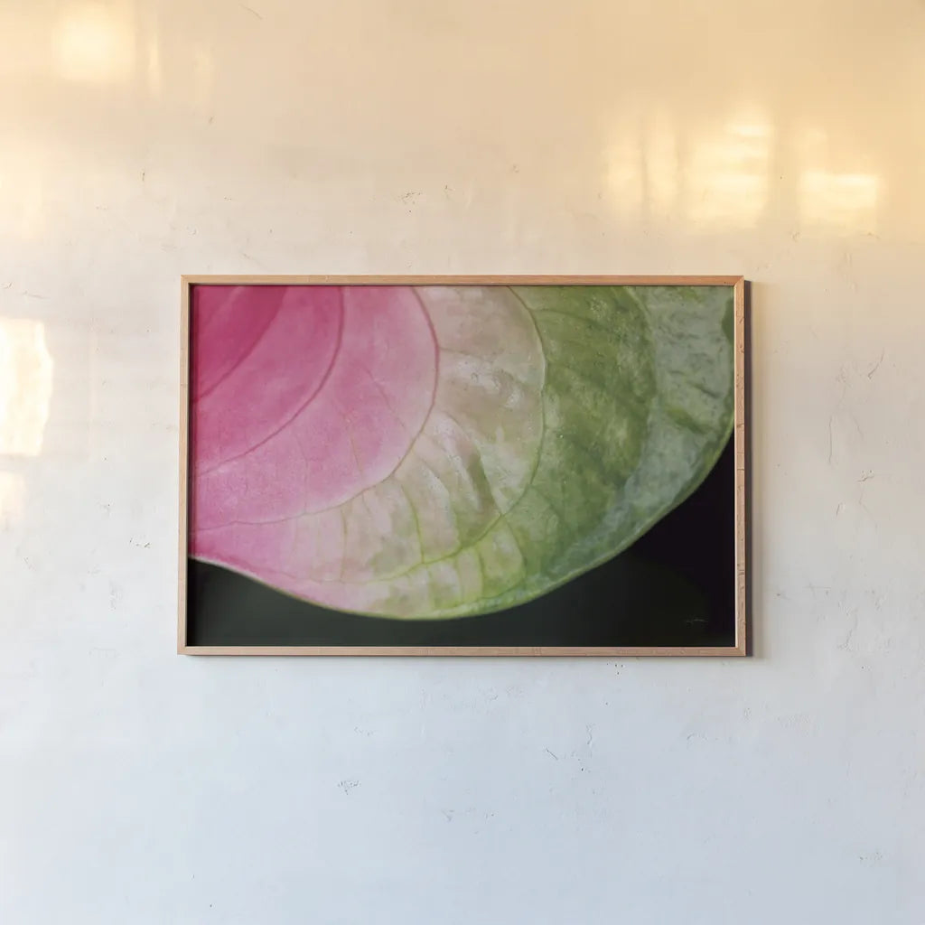 Pink and Green by Aledanda. shown as a paper print in a natural frame. Available as a archival giclee rolled canvas, fine art paper, or poster print. SKU 55301i.
