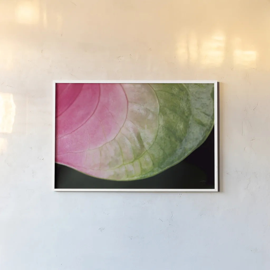 Pink and Green by Aledanda. shown as a paper print in a white frame. Available as a archival giclee rolled canvas, fine art paper, or poster print. SKU 55301i.