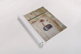 Please Knock by Aledanda. shown as a rolled paper print. Available as archival giclee rolled canvas, fine art paper, or poster print. SKU 58398i.