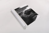 Polo Pony Closeup by Aledanda. shown as a rolled paper print. Available as archival giclee rolled canvas, fine art paper, or poster print. SKU 61297i.
