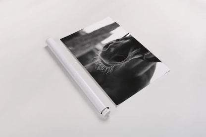 Polo Pony Closeup by Aledanda. shown as a rolled paper print. Available as archival giclee rolled canvas, fine art paper, or poster print. SKU 61297i.