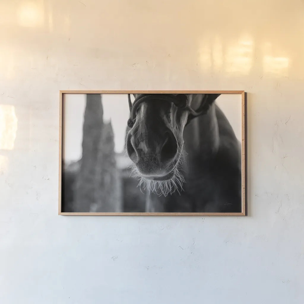 Polo Pony Closeup by Aledanda. shown as a paper print in a natural frame. Available as a archival giclee rolled canvas, fine art paper, or poster print. SKU 61297i.