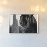 Polo Pony Closeup by Aledanda. shown as a paper print in a white frame. Available as a archival giclee rolled canvas, fine art paper, or poster print. SKU 61297i.