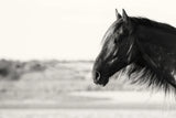 Pretty Girl by Aledanda. SKU 47851i. Archival Giclee Fine art print for wall decor.