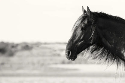 Pretty Girl by Aledanda. SKU 47851i. Archival Giclee Fine art print for wall decor.