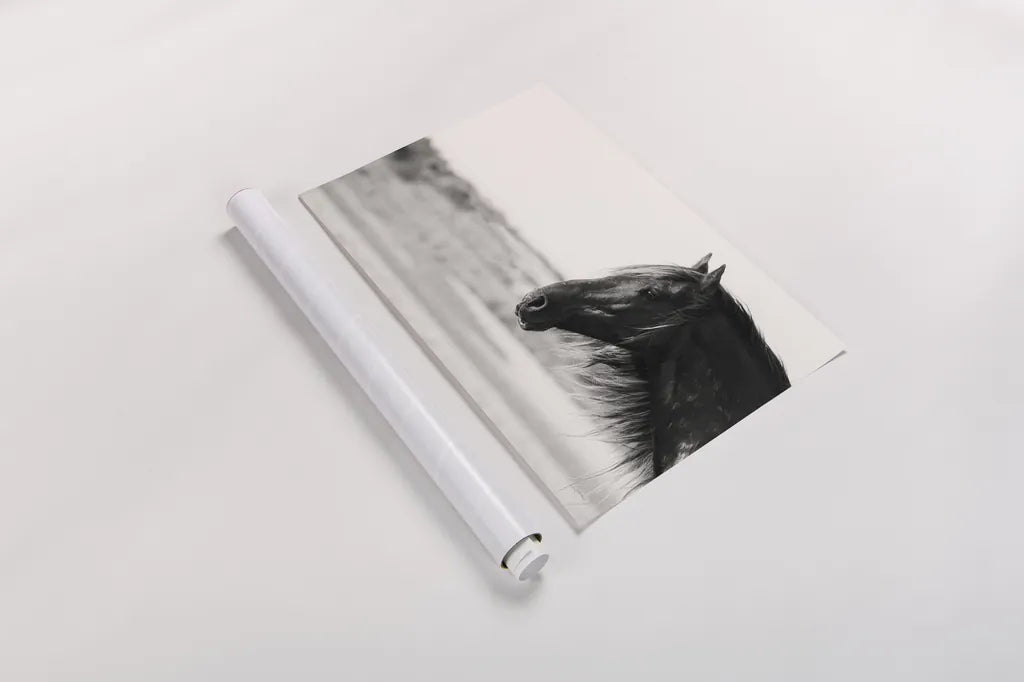 Pretty Girl by Aledanda. shown as a rolled paper print. Available as archival giclee rolled canvas, fine art paper, or poster print. SKU 47851i.