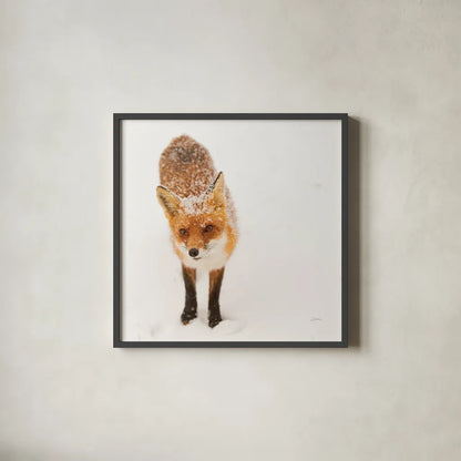 Red Fox I by Aledanda. Shown in a sleek black glass frame for a contemporary gallery look. Available as an archival giclee rolled canvas, fine art paper, or poster print. SKU 53600a.