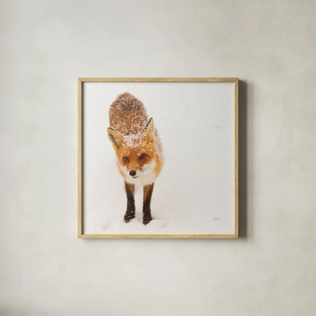 Red Fox I by Aledanda. Shown in a natural wood glass frame for a timeless modern aesthetic. Available as an archival giclee rolled canvas, fine art paper, or poster print. SKU 53600a.