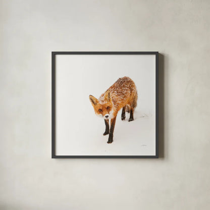 Red Fox II by Aledanda. Shown in a sleek black glass frame for a contemporary gallery look. Available as an archival giclee rolled canvas, fine art paper, or poster print. SKU 53601a.