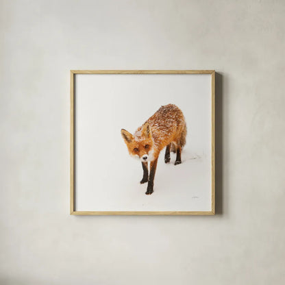 Red Fox II by Aledanda. Shown in a natural wood glass frame for a timeless modern aesthetic. Available as an archival giclee rolled canvas, fine art paper, or poster print. SKU 53601a.
