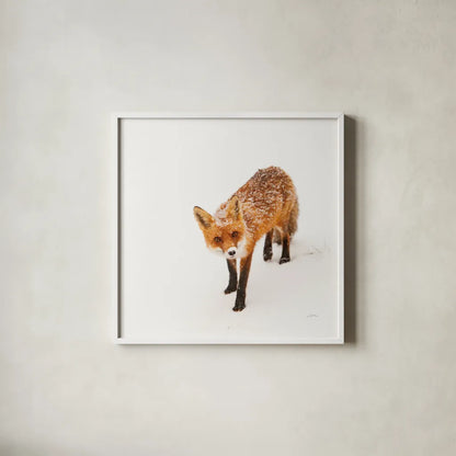 Red Fox II by Aledanda. Shown in a crisp white glass frame for a clean and minimalist style. Available as an archival giclee rolled canvas, fine art paper, or poster print. SKU 53601a.