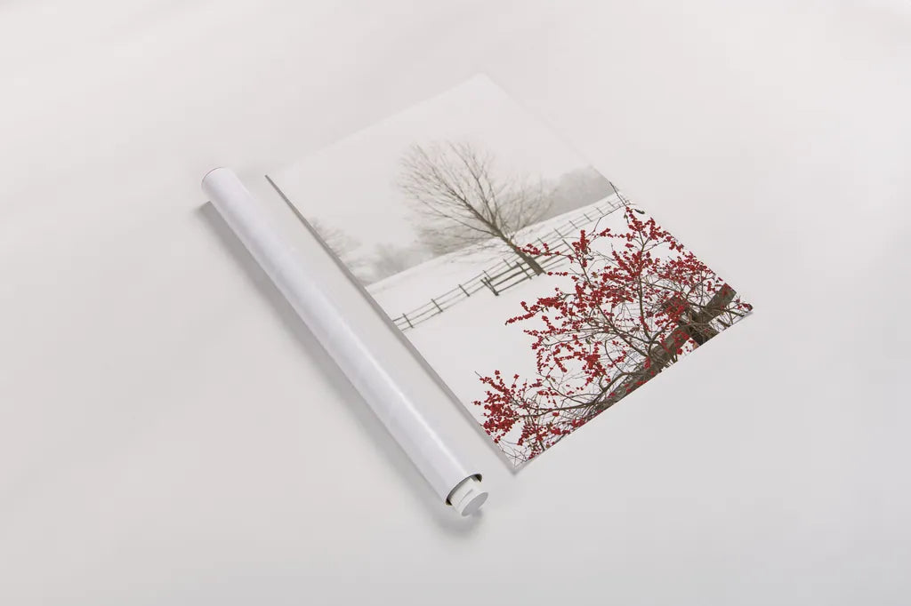 Red on White by Aledanda. shown as a rolled paper print. Available as archival giclee rolled canvas, fine art paper, or poster print. SKU 60997h.