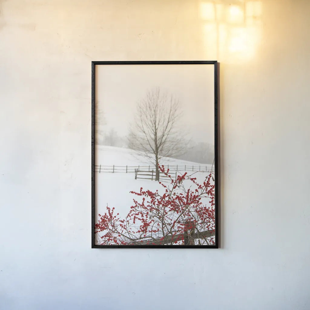 Red on White by Aledanda. shown as a paper print in a black flame. Available as a archival giclee rolled canvas, fine art paper, or poster print. SKU 60997h.