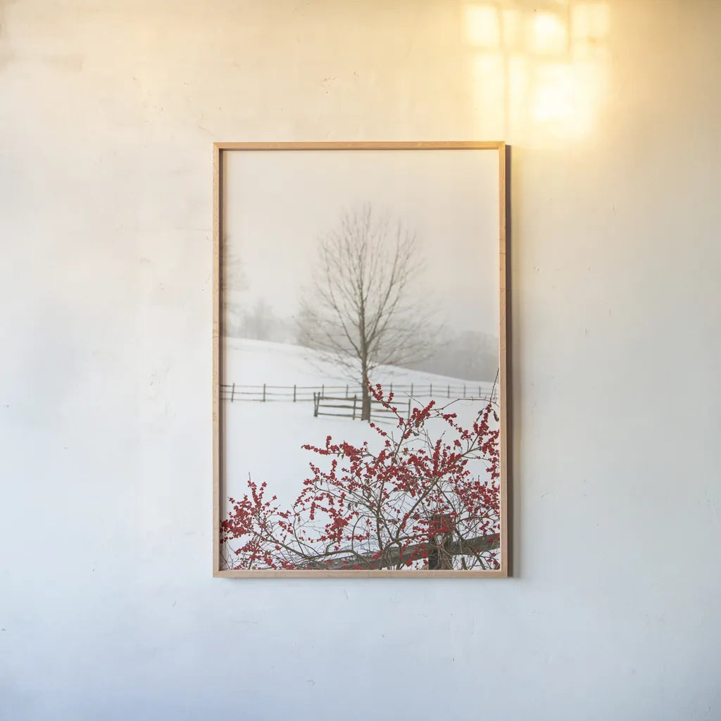 Red on White by Aledanda. shown as a paper print in a natural frame. Available as a archival giclee rolled canvas, fine art paper, or poster print. SKU 60997h.