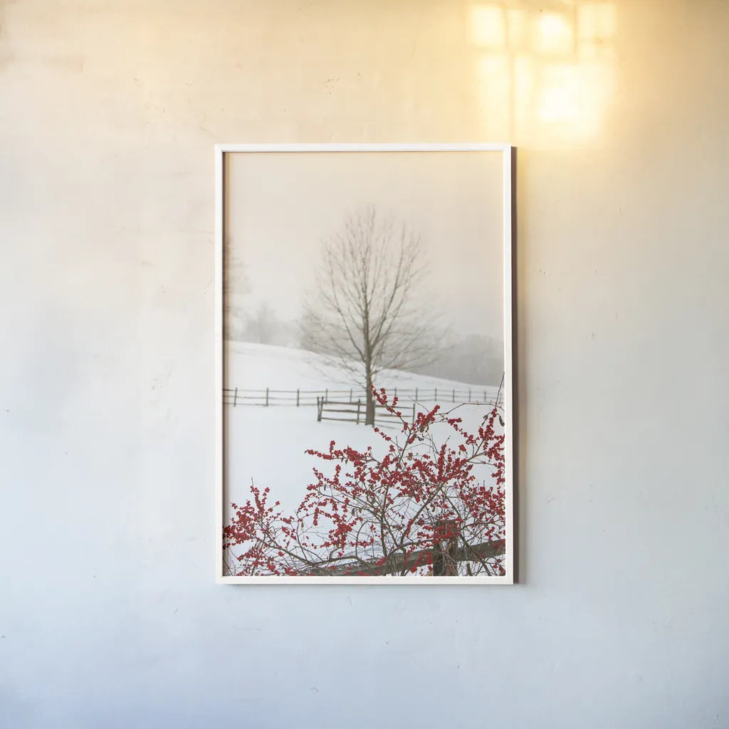 Red on White by Aledanda. shown as a paper print in a white frame. Available as a archival giclee rolled canvas, fine art paper, or poster print. SKU 60997h.