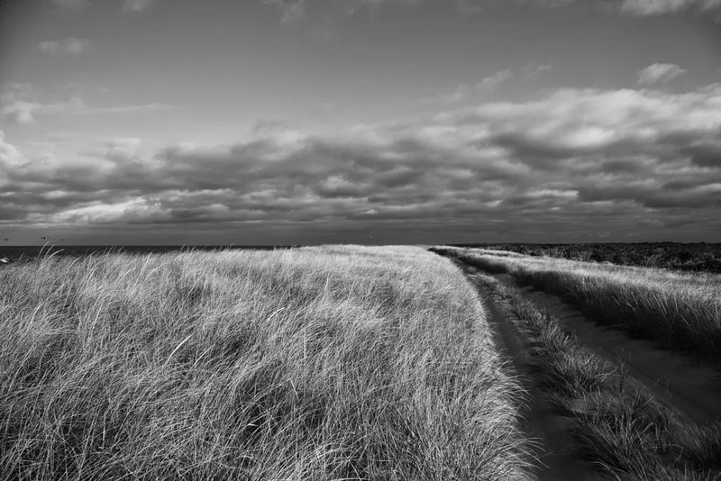Road to the Beach by Aledanda. SKU 64378i. Archival Giclee Fine art print for wall decor.
