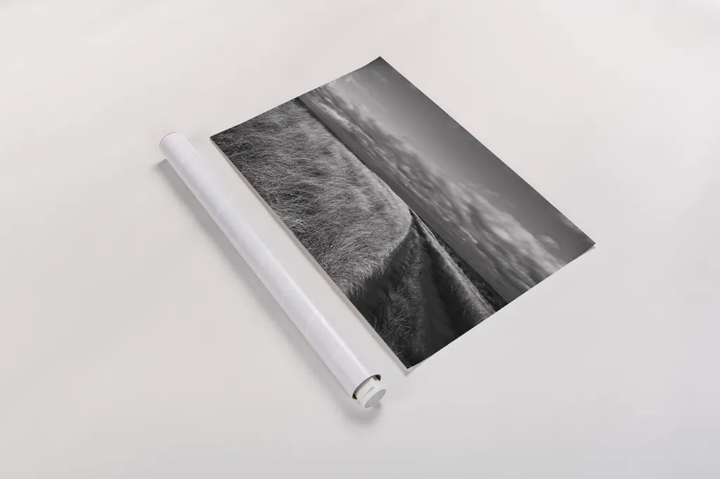 Road to the Beach by Aledanda. shown as a rolled paper print. Available as archival giclee rolled canvas, fine art paper, or poster print. SKU 64378i.