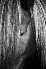 Shy by Aledanda. SKU 38296h. Archival Giclee Fine art print for wall decor.