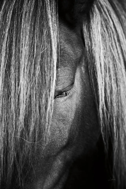 Shy by Aledanda. SKU 38296h. Archival Giclee Fine art print for wall decor.