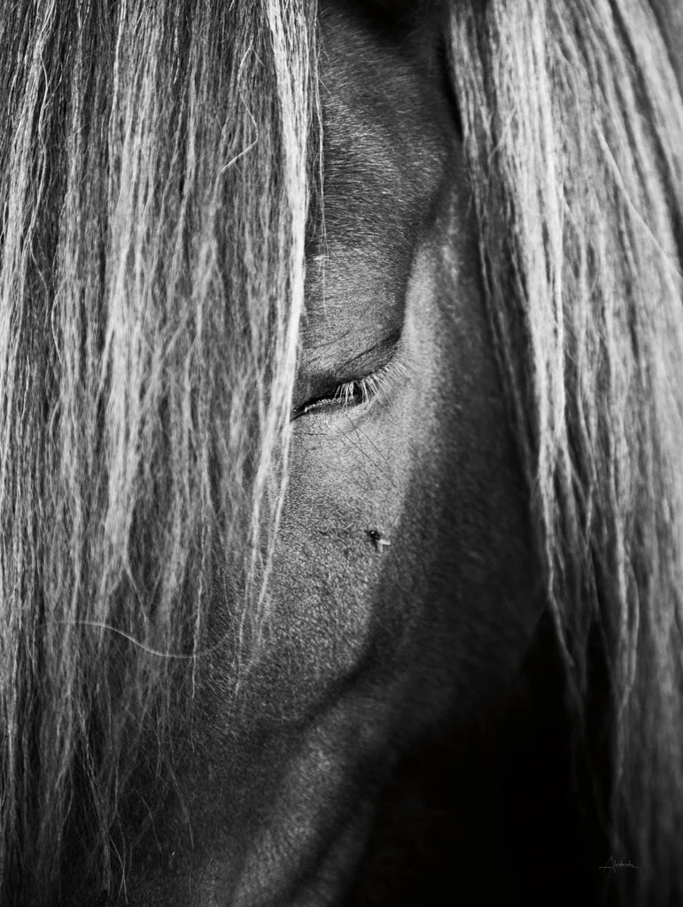 Shy Crop by Aledanda
