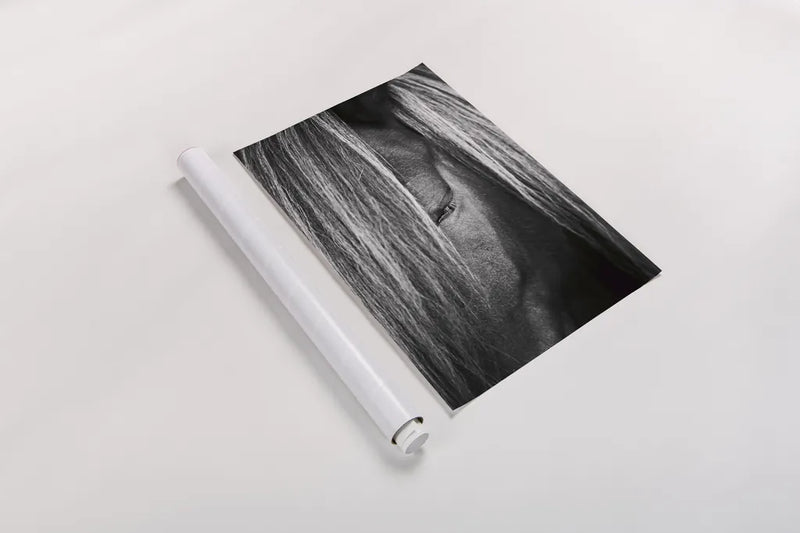 Shy v2 by Aledanda. shown as a rolled paper print. Available as archival giclee rolled canvas, fine art paper, or poster print. SKU 41339h.