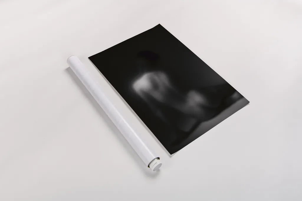 Silhouette by Aledanda. shown as a rolled paper print. Available as archival giclee rolled canvas, fine art paper, or poster print. SKU 38326h.