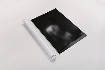 Silhouette by Aledanda. shown as a rolled paper print. Available as archival giclee rolled canvas, fine art paper, or poster print. SKU 38326h.